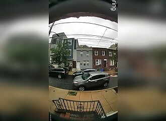 A hurried motorist smashes a tree on the sidewalk to go faster