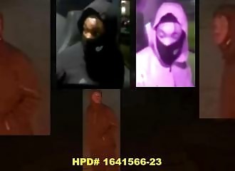 Abruti vole une fourgonette de livraison et percute une voiture quelques mètres plus loin