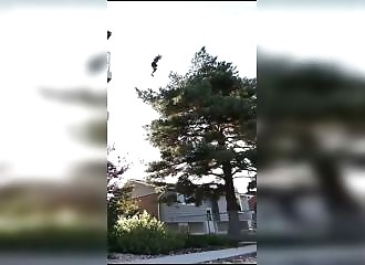 An amateur stuntman jumps from the fourth floor, thinking he'll catch himself on a tree