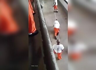 Alleged pedophile is walked on a leash by other inmates in a prison
