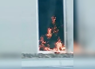 Elle met le feu à un bâtiment qu'elle croyait lié à l'agence d'immigration américaine