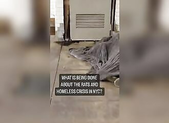 Attention, ce sdf n'est pas seul! 