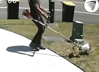 Karma for a bird-killing gardener (Warning - shocking)
