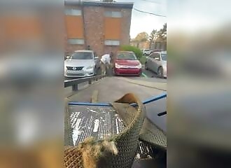 Tow truck driver gets his head crushed during Memphis seizure (Warning - shocking)