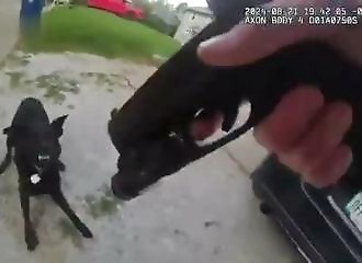 Body cam video of Davenport police officer shooting dog (Warning - shocking)