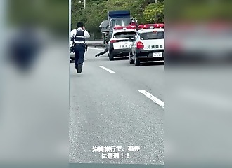 Spectacular arrest in Japan: how many cops for one criminal?