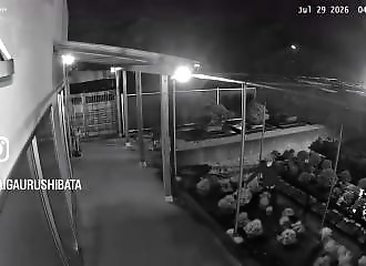 These two burglars made off with several valuable bonsai trees in a matter of minutes