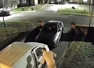 Il choisit la mauvaise voiture à voler