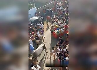 A bull causes panic at a rally 