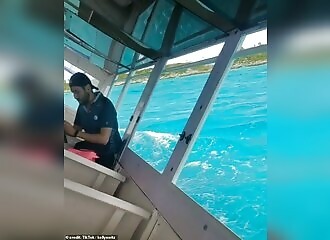 A ferry sinks during an excursion to the Blue Lagoon in the Bahamas