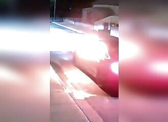 Arsonists set fire to their own car