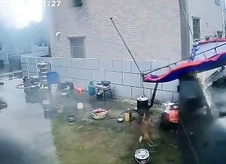 A dog narrowly misses choking, his owner arrives just in time