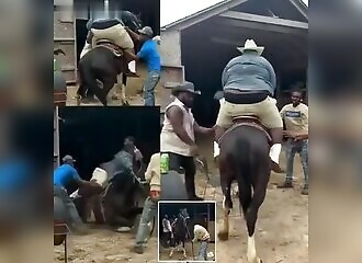 A 230 kg man on a horse, mistreatment?