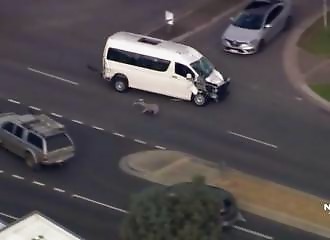 Melbourne chase ends in unexpected shock