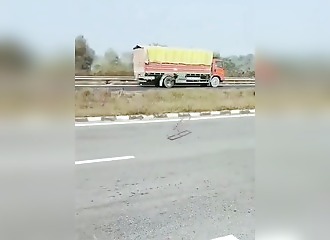 India: They throw a spiked trap to crash a livestock truck